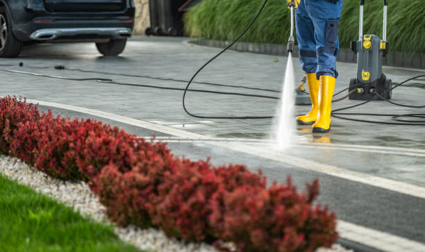 Best Animal Enclosure Cleaning  in Palestine, TX